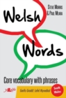 Welsh Words - Geirfa Graidd, Lefel Mynediad (De Cymru/South Wales) - Book