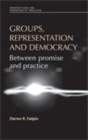 Groups, representation and democracy : Between promise and practice - eBook
