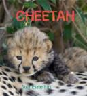 Cheetah - Book