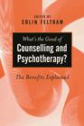 What's the Good of Counselling & Psychotherapy? : The Benefits Explained - eBook