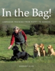 In the Bag! - eBook
