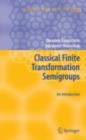Classical Finite Transformation Semigroups : An Introduction - eBook