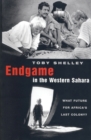 Endgame in the Western Sahara : What Future for Africa's Last Colony - eBook