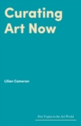 Curating Art Now - eBook