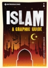 Introducing Islam - eBook