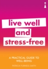 A Practical Guide to Well-being - eBook