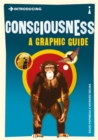 Introducing Consciousness : A Graphic Guide - eBook