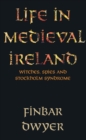 Life in Medieval Ireland - eBook