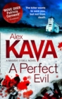 A Perfect Evil - Book