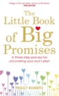 The Little Book of Big Promises : A Three-Step Process for Uncovering Your Soul's Plan - Book