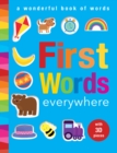 First Words Everywhere : A Wonderful Book of Words - Book