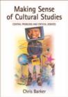 Making Sense of Cultural Studies : Central Problems and Critical Debates - eBook