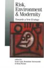 Risk, Environment and Modernity : Towards a New Ecology - eBook