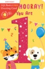 Hip, Hip, Hooray You Are 1! - Book