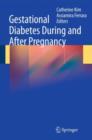 Gestational Diabetes During and After Pregnancy - eBook