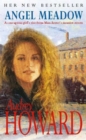 Angel Meadow - eBook