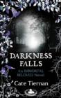 Darkness Falls (Immortal Beloved Book Two) - eBook