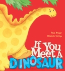 If You Meet a Dinosaur - Book
