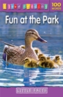 I Love Reading Little Facts 100 Words: Fun at the Park - Book