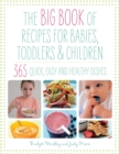 Big Book of Recipes for Babies, Toddlers & Children - eBook