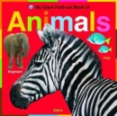 Animals : My Giant Fold out Book - Book