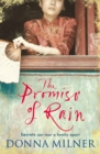 The Promise of Rain - eBook