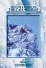Winter Climbs in the Cairngorms : The Cairngorms and Creag Meagaidh - eBook
