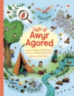 Llyfr yr Awyr Agored - Book