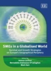 SMEs in a Globalised World : Survival and Growth Strategies on Europe's Geographical Periphery - eBook