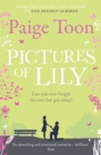 Pictures of Lily - eBook