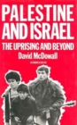 Palestine and Israel : The Uprising and Beyond - Book