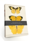 Butterfly Notebook Set : 3 A5 lined notebooks with stitched spines - Book