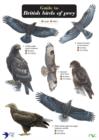 Guide to British Birds of Prey - Book