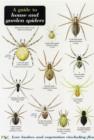 A Guide to House and Garden Spiders - Book