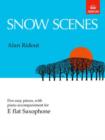 Snow Scenes - Book