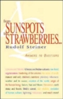 From Sunspots to Strawberries : Answers to Questions - Book