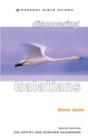 Discovering Galatians : Be Free In Christ - Book