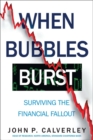 When Bubbles Burst : Surviving the Financial Fallout - Book