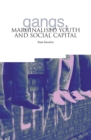 Gangs, Marginalised Youth and Social Capital - eBook
