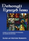 Dehongli Bywyd Iesu - Book