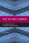 Not so New Labour : A sociological critique of New Labour's policy and practice - Book