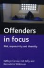 Offenders in focus : Risk, responsivity and diversity - Book