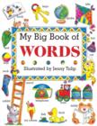 My Big Book of Words - Book