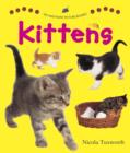 Say and Point Picture Boards: Kittens - Book