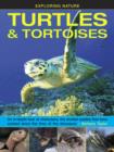 Exploring Nature: Turtles & Tortoises - Book