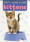 Let's Look & See: Kittens - Book