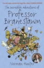 The Incredible Adventures of Professor Branestawm - Book