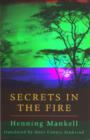 Secrets in the Fire - Book