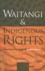 Waitangi and Indigenous Rights : Revolution, Law and Legitimation Revised edition - Book