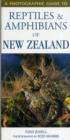 Photographic Guide To Reptiles & Amphibians Of New Zealand - Book